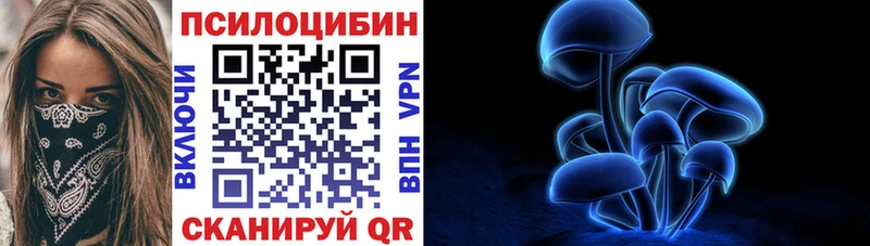 Псилоцибиновые грибы Psilocybine cubensis  hydra зеркало  Кораблино 